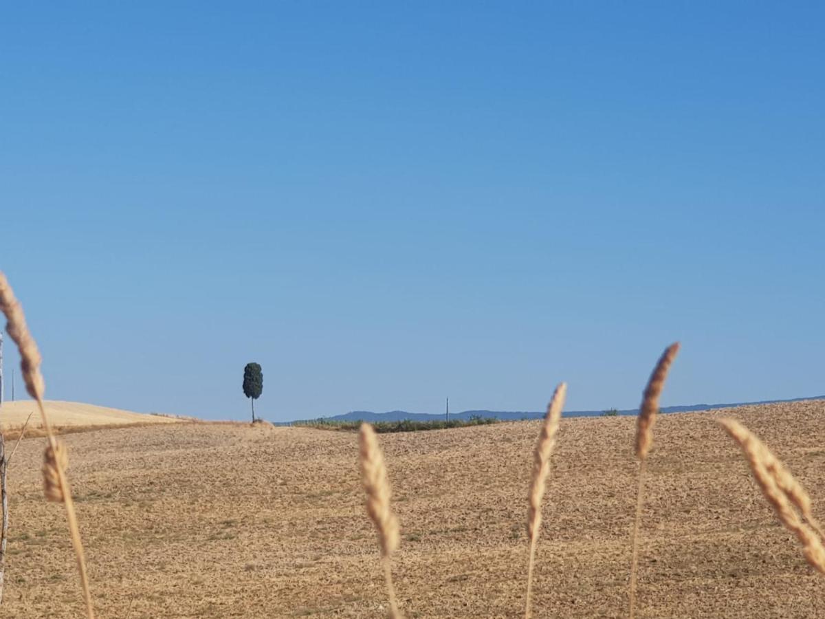 Palazzetto Del Pittore San Quirico dʼOrcia Exterior foto